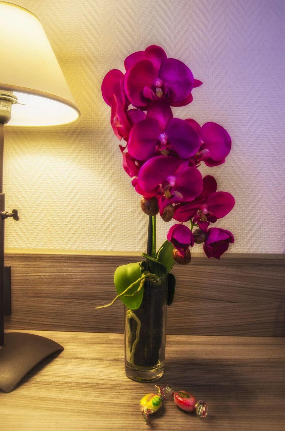 Hotel Prado Avec Parking - Proche Zenith Тулуза Екстериор снимка